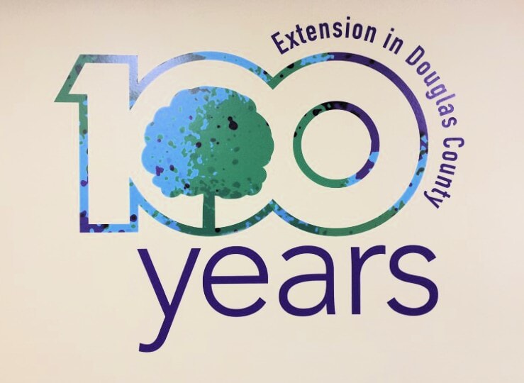 Wall Graphics